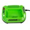 Зарядное устройство G60C GREENWORKS - фото 407182