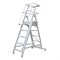 Телескопическая лестница–платформа с калиткой MEGAL - ТЛП-К (1,6 - 2,5) - фото 416537