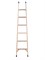 Приставная диэлектрическая лестница 12 ступеней ЛСП-4,4-Ф40П - фото 77837 Приставная диэлектрическая лестница 12 ступеней ЛСП-4,4-Ф40П - фото 77837